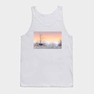 Clydesdale horse walking through a winter meadow Tank Top